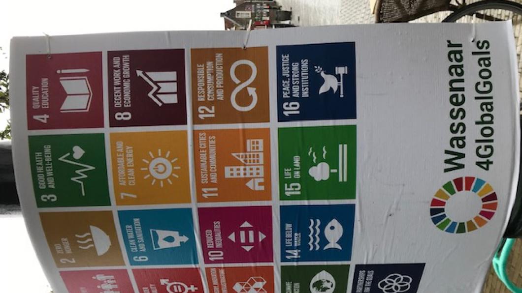 Global Goals