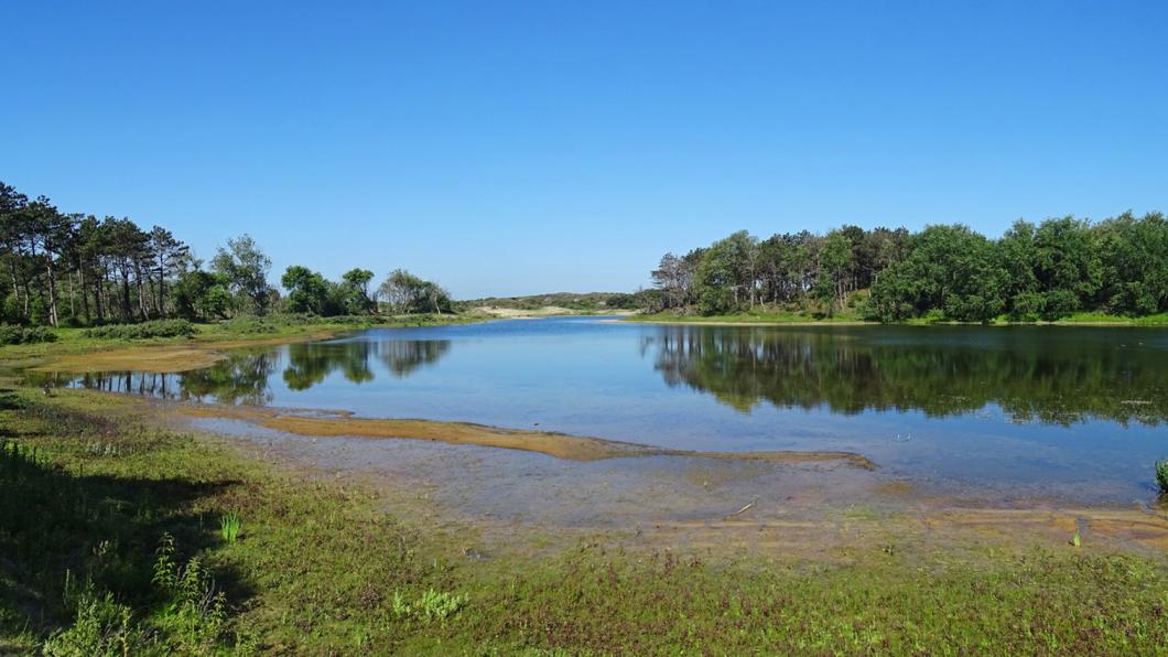 www.natuurgebiedinbeeld.nl Ganzenhoek.jpg