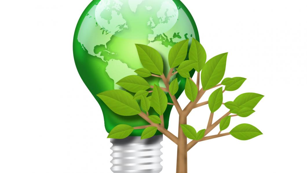 green-light-bulb-and-tree.jpg